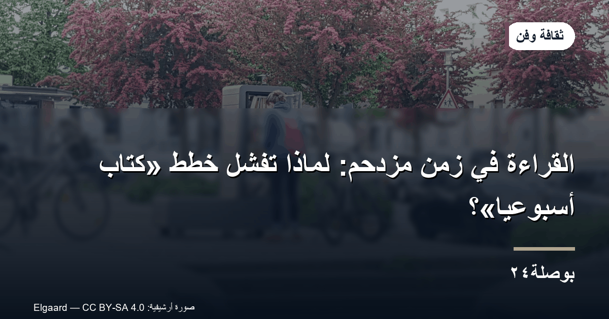 القراءة في زمن مزدحم: لماذا تفشل خطط «كتاب أسبوعيًا»؟