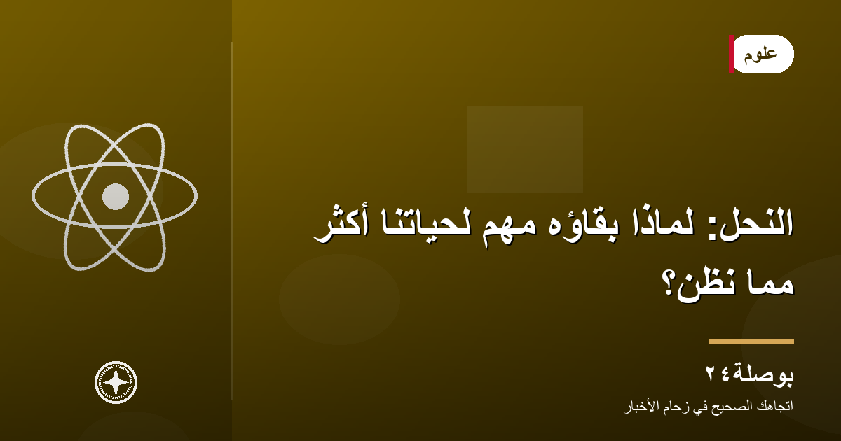 النحل: لماذا بقاؤه مهم لحياتنا أكثر مما نظن؟
