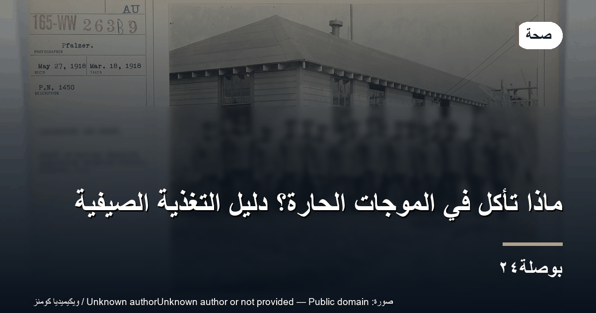 ماذا تأكل في الموجات الحارة؟ دليل التغذية الصيفية