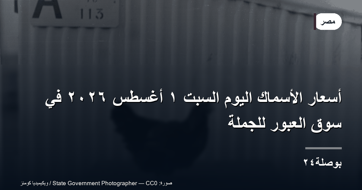 أسعار الأسماك اليوم السبت ١ أغسطس ٢٠٢٦ في سوق العبور للجملة