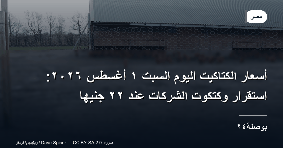أسعار الكتاكيت اليوم السبت ١ أغسطس ٢٠٢٦: استقرار وكتكوت الشركات عند ٢٢ جنيهًا