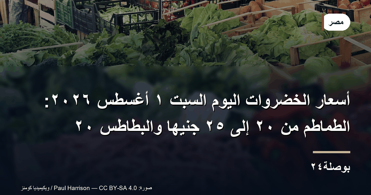 أسعار الخضروات اليوم السبت ١ أغسطس ٢٠٢٦: الطماطم من ٢٠ إلى ٢٥ جنيهًا والبطاطس ٢٠