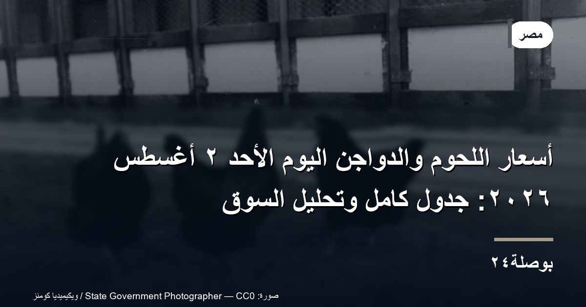أسعار اللحوم والدواجن اليوم الأحد ٢ أغسطس ٢٠٢٦: جدول كامل وتحليل السوق