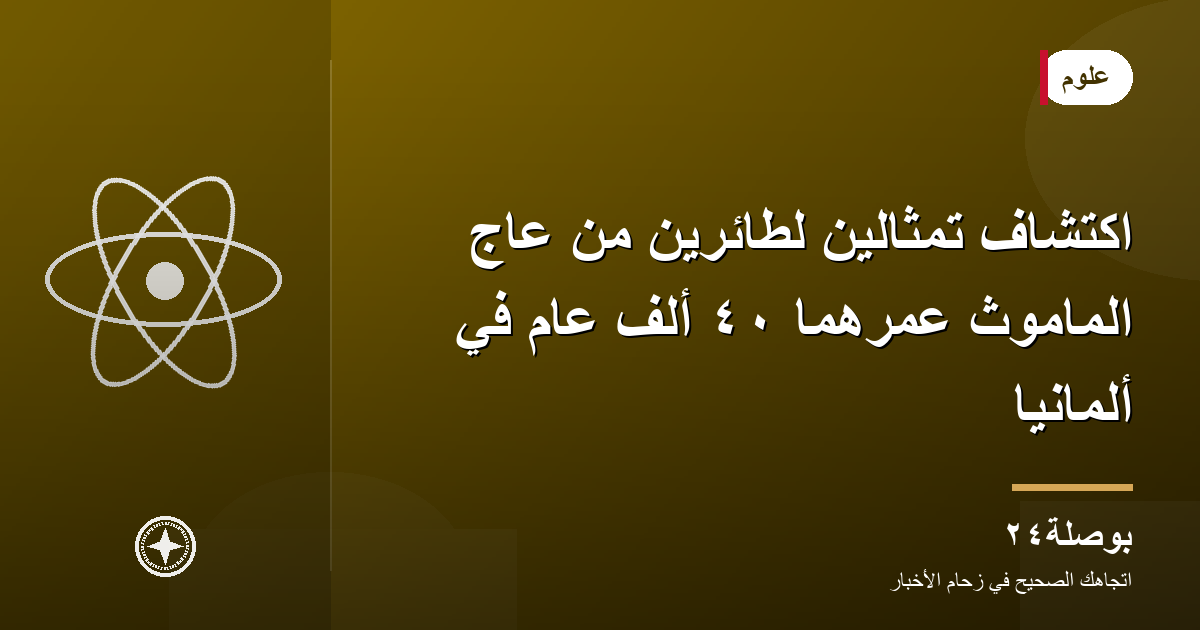 اكتشاف تمثالين لطائرين من عاج الماموث عمرهما ٤٠ ألف عام في ألمانيا
