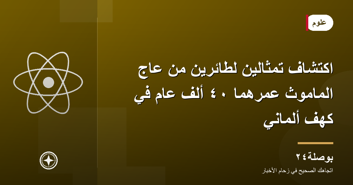 اكتشاف تمثالين لطائرين من عاج الماموث عمرهما ٤٠ ألف عام في كهف ألماني