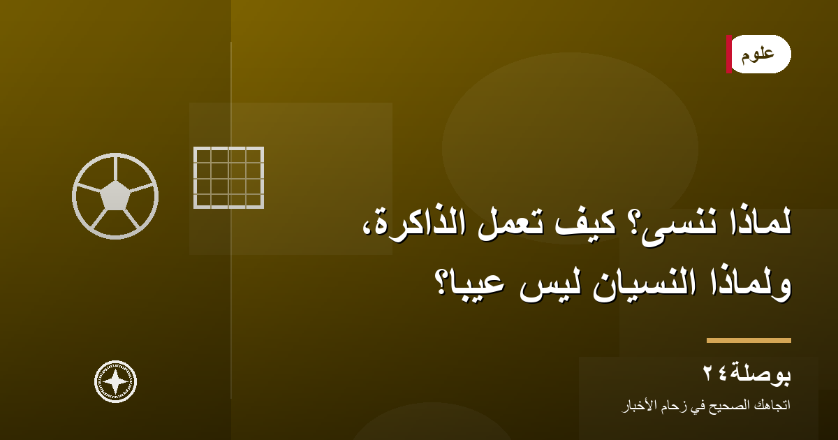 لماذا ننسى؟ كيف تعمل الذاكرة، ولماذا النسيان ليس عيبًا؟