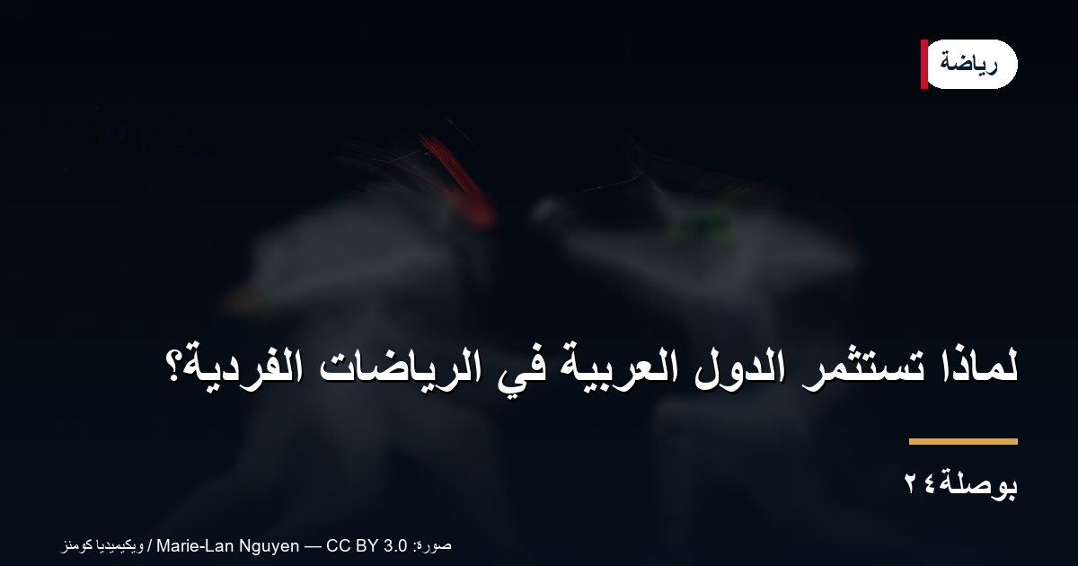 لماذا تستثمر الدول العربية في الرياضات الفردية؟