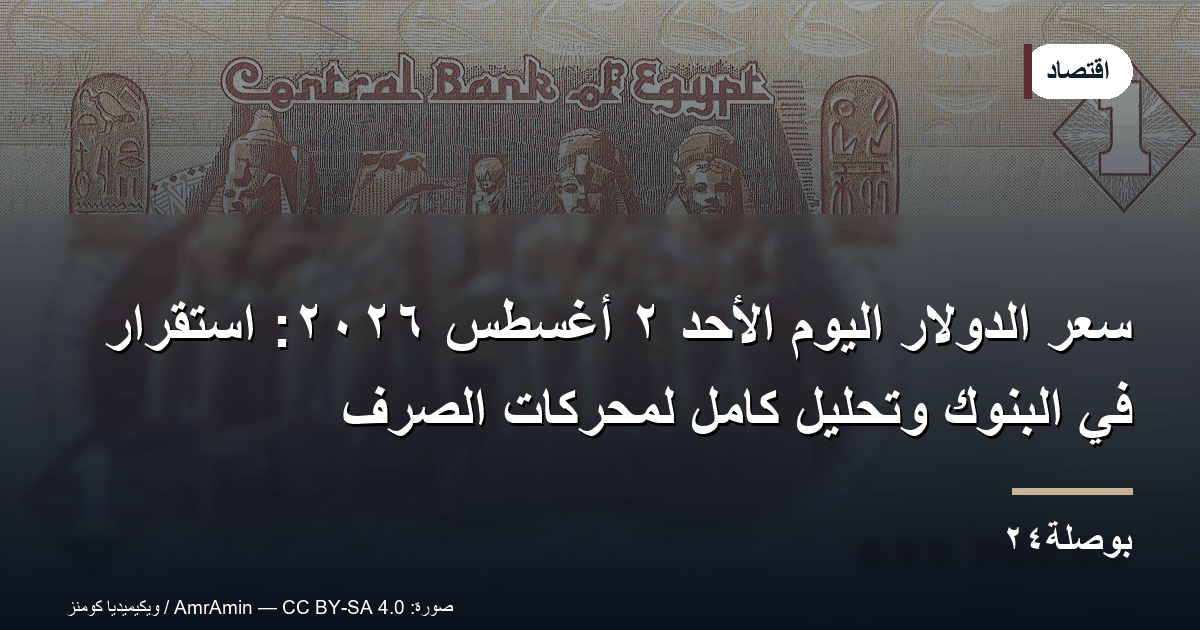 سعر الدولار اليوم الأحد ٢ أغسطس ٢٠٢٦: استقرار في البنوك وتحليل كامل لمحركات الصرف