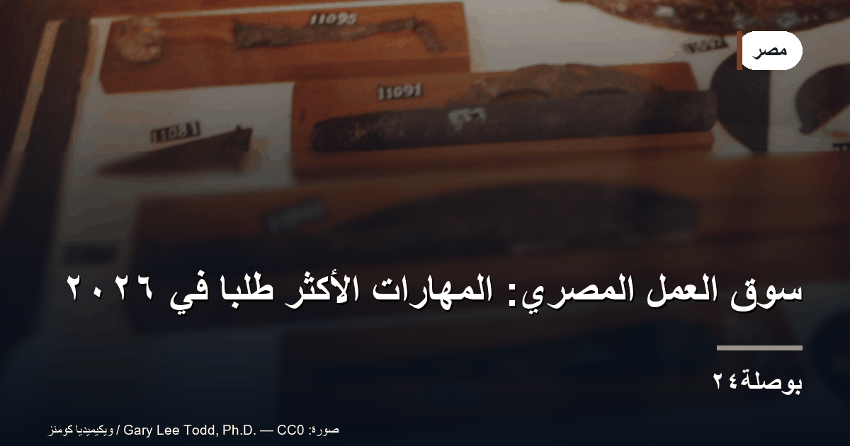 سوق العمل المصري: المهارات الأكثر طلبًا في ٢٠٢٦